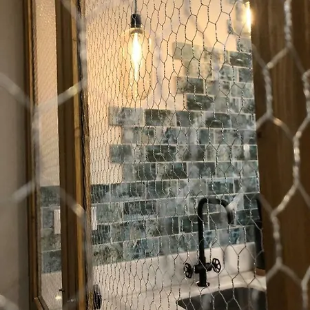 Canarios Catarina Lisboa